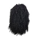 Aplique Coque Afro Puff Fibra Sintética P10