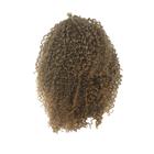 Aplique Coque Afro Puff Fibra Sintética P10