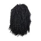 Aplique Coque Afro Puff Fibra Sintética P10