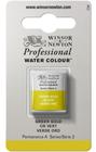 Aquarela Pastilha Profissional Winsor 294 Green Gold - Winsor & Newton