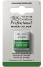 Aquarela Pastilha Profissional Winsor 459 Oxide Of Chromium - Winsor & Newton