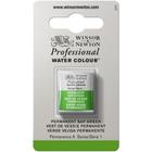 Aquarela Pastilha Profissional Winsor 503 PermSap Green - Winsor & Newton