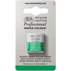 Aquarela Pastilha Profissional Winsor 721 Winsor Green Yellow Shade - Winsor & Newton