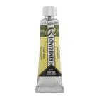 Aquarela Rembrandt Tubo 629 Green Earth 10ml - Talens