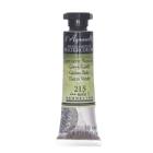 Aquarela Sennelier Profissional Tubo 10ml S1 213 Green Earth