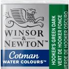 Aquarela Winsor & Newton Cotman Pastilha 312 Hookers Green Dark