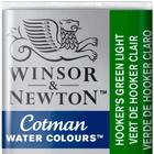 Aquarela Winsor & Newton Cotman Pastilha 314 Hookers Green Light
