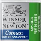 Aquarela Winsor & Newton Cotman Pastilha 599 Sap Green - Winsor Newton