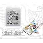 Aquarela Winsor & Newton Profissional em Pastilhas 14 Cores