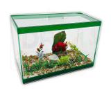 Aquário Bob Decorado N5 40x19x25 19Lts Vidro Peixes Plantas - Gpm Logística