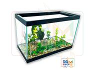 Aquário Nº3 Luxo Decorado 30x15x20 7Lts Vidro Peixes Plantas - GPM Logistica