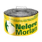 Arame Farpado Nelore Rolo 100 M Fio 1,60mm 250kgf Morlan