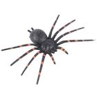 Aranha Patas Listradas Decorativo Halloween 14x20cm 29004132 - CROMUS FESTAS