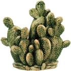 ÁRIDOS ADORNO 27x28x12cm CERÂMICA VERDE CACTUS - NH