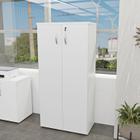 Armário Alto Fechado 1.60x80x42 F.15mm