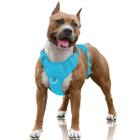 Arnês para Cães BARKBAY - No Pull, Air Mesh, Tamanho Grande, Azul