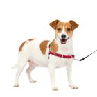 Arnês para cães PetSafe Easy Walk No-Pull pequeno vermelho/preto