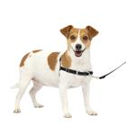 Arnês para cães PetSafe Easy Walk No-Pull Small Carvão/Preto