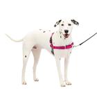 Arnês para cães PetSafe Easy Walk Stop Pulling Raspberry M/L