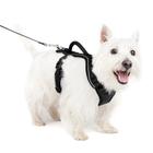 Arnês para cães PetSafe EasySport ajustável acolchoado com alça