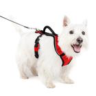 Arnês para cães PetSafe EasySport ajustável acolchoado com alça