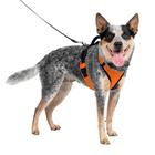 Arnês para cães PetSafe EasySport ajustável acolchoado laranja M