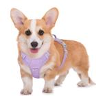 Arnês refletivo para cães BARKBAY No Pull com bolso de identificação (roxo violeta, M)