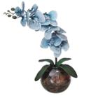 Arranjo 1 Orquídea Real Azul Delicada Vaso Vidro Terrário