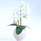 Arranjo 2 Orquídeas Artificiais Brancas em Aquário Nude Flora