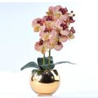 Arranjo 2 Orquídeas Outonadas em Vaso Dourado Naty