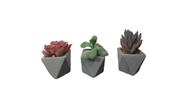 Arranjo 3 Suculentas Planta Artificial Vaso Cimento Mix Tuut