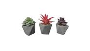 Arranjo 3 Suculentas Planta Artificial Vaso Cimento Mix Tuut