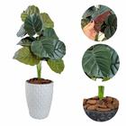 Arranjo Artificial Caladium Alocacia com Vaso Polietileno - Flor Imp