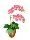 Arranjo Barato Orquídea Rosa Real Toque - Vaso Cerâmica Dourado