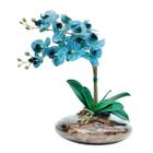 Arranjo Com 2 orquideas Azul Flores realista Vaso terrário