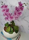 Arranjo Com 2 Orquídeas Violeta Vaso Ceramica 22cm