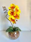 Arranjo Completo de Orquídea Siliconada Artificial Amarela no Vaso de Vidro Terrario Redondo