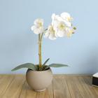 Arranjo de Flor Artificial Orquídea Branca no Vaso Fendi Formosinha