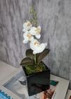 Arranjo De Mini Orquídea Branca Vaso Preto Quadrado