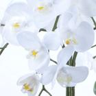 Arranjo de Orquídea Artificial Branca em Centro de Mesa Cobre
