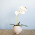 Arranjo de Orquídea Artificial Branca no Vaso Nude Formosinha