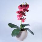 Arranjo de Orquídea Artificial Goiaba em Vaso Nude - Vila das Flores