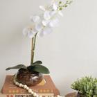 Arranjo de Orquídea Branca Artificial no Vaso de Vidro Achatado Arranjos Formosinha