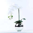 Arranjo de Orquídea Branca Toque Real Espelhado Eros - Vila das Flores