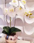Arranjo de Orquídea Branca Vaso Rose 15cm