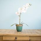 Arranjo de Orquídea de Silicone Branca no Vaso Azul Formosinha