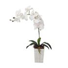 Arranjo De Orquídea Flores Artificiais E Vaso Branco Bia
