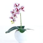 Arranjo de Orquídea Mesclada em Vaso Branco Fosco Lívia