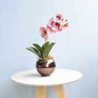 Arranjo de Orquídea Rosa 3D no Vaso Bronze P Formosinha