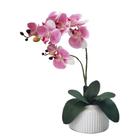 Arranjo de Orquídea silicone flor artificial no vaso - Rosa